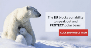 Vote Leave Polar Bears